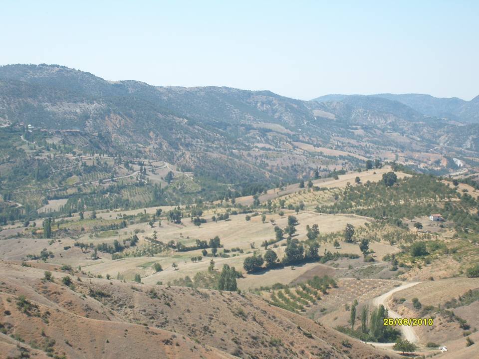 Turgay Asmalıkaya 25 Agustos 2010